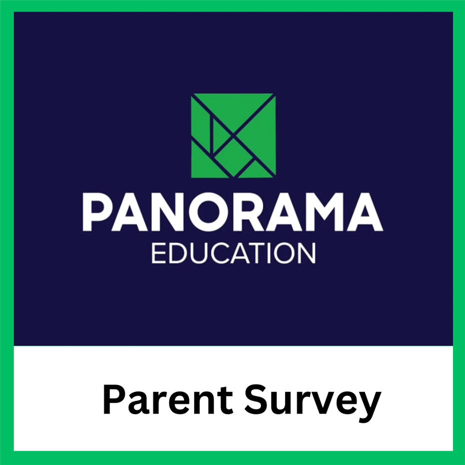  Parent Panorama Survey